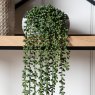 Gallery Direct Faux Plants - String of Pearls in Soil