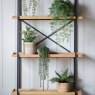 Gallery Direct Faux Plants - String of Pearls in Soil