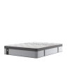 Sealy Sealy Picket Plush - Mattress