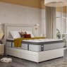 Sealy Sealy Picket Plush - Mattress and Divan Set