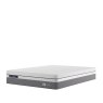 Sealy Sealy Hybrid Comet 1500 - Mattress