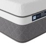 Sealy Sealy Hybrid Apollo 2900 - Mattress