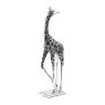 Libra Midnight Mayfair - Giraffe Sculpture Head Back
