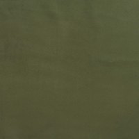 Plush Evergreen