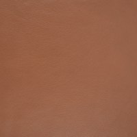 Roma Nutmeg