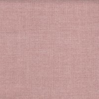 Linnet Rose