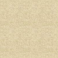 Boucle Oyster