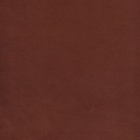 Plush Velvet Umber