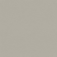 L906 Grey