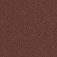 334E Pecan Brown