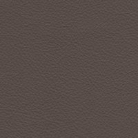 513E Pine Bark
