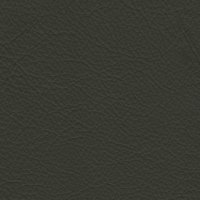 532E Olive Green