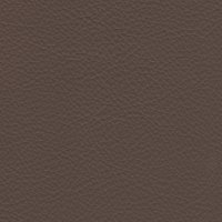 586E Fawn