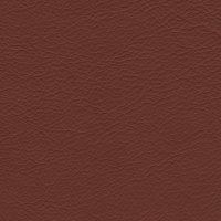 605D Warm Brown