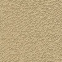 325 Beige Torello