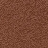 363 Cognac Torello
