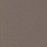 2152 Taupe Botero