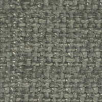 baobab2023-538-muschio (1)