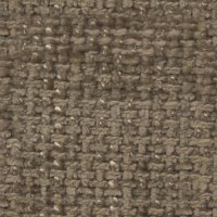 baobab2023-544-cammello (1)