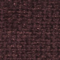 baobab2023-563-prugna (1)