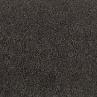 004 Bronzo Teddy