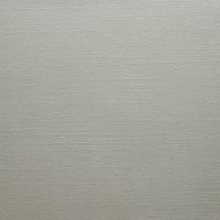 2030 Canvas Clay