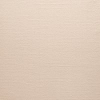2034 Canvas Sand