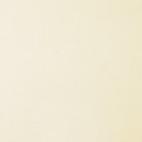 1000 Cashmere Silk