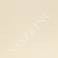 593 ViSpring Logo Blush