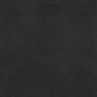 Gavin Anthracite