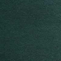 SLP Forest Green