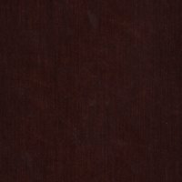 W019 Tawny