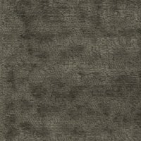 5490 Olive Ecuador Plain