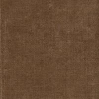 5613 Turmeric Beagle Plain