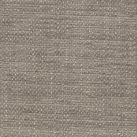 5987 Silver Diaz Plain