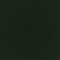 Clara-Evergreen