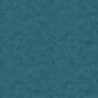 Stingray Indigo