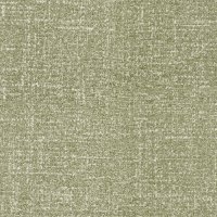 B034_Lumos_Olive_