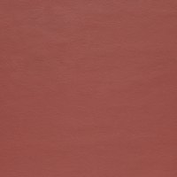Paloma Dark Henna