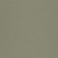Paloma Shadow Green