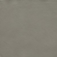 Paloma Silver Grey