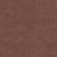 Dusk Apricot