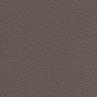 Madri Mushroom M0026