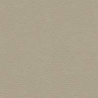 Oxford Mushroom H001
