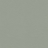 Cambridge Grey L842
