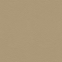 Cambridge Plaster L844