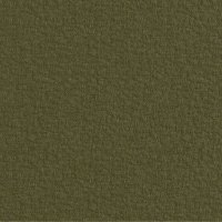 Severn Fern - Fabric