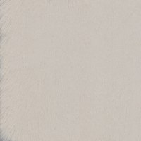 F001 Dawn Faux Fur