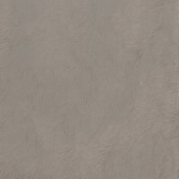 F002 Coyote Faux Fur365