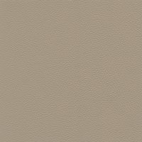 BULL - Beige